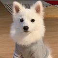 설기*****_썸네일
