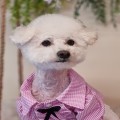 가루*****_썸네일