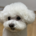 꼼언*****_썸네일