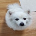 이시*****_썸네일