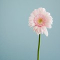 HI*****_썸네일
