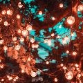김복*****_썸네일