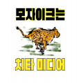 Bditor 프로필