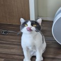 울고*****_썸네일