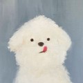 써어닝8 프로필