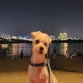 복길*****_썸네일