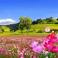 하동*****_썸네일