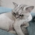자몽*****_썸네일