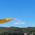 Wo*****_썸네일