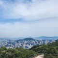 신연지 프로필