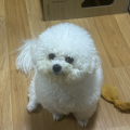 빨간*****_썸네일