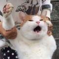 우******_썸네일