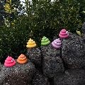 또루*****_썸네일