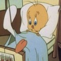 ha*****_썸네일