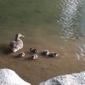 바람*****_썸네일