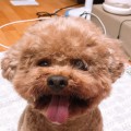 콩이*****_썸네일