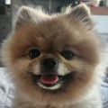 유******_썸네일