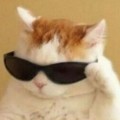 시이*****_썸네일