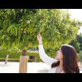 K2*****_썸네일