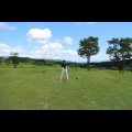 K9*****_썸네일