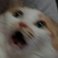 자유*****_썸네일