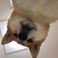 Mp*****_썸네일