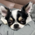 갱******_썸네일
