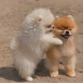 살벌*****_썸네일