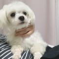 Fl*****_썸네일