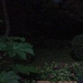 DH*****_썸네일