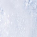 팡******_썸네일