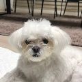 So*****_썸네일