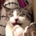몰라*****_썸네일