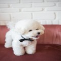 ey*****_썸네일