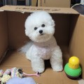 양튜*****_썸네일