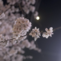 이육영 프로필