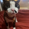So*****_썸네일