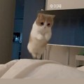 검정*****_썸네일