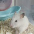 공손*****_썸네일