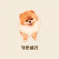 CounselLee 프로필