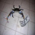 7베*****_썸네일