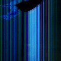 오픈*****_썸네일