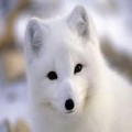 달에*****_썸네일